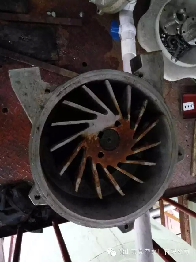 1.webp.jpg 1.webp.jpg