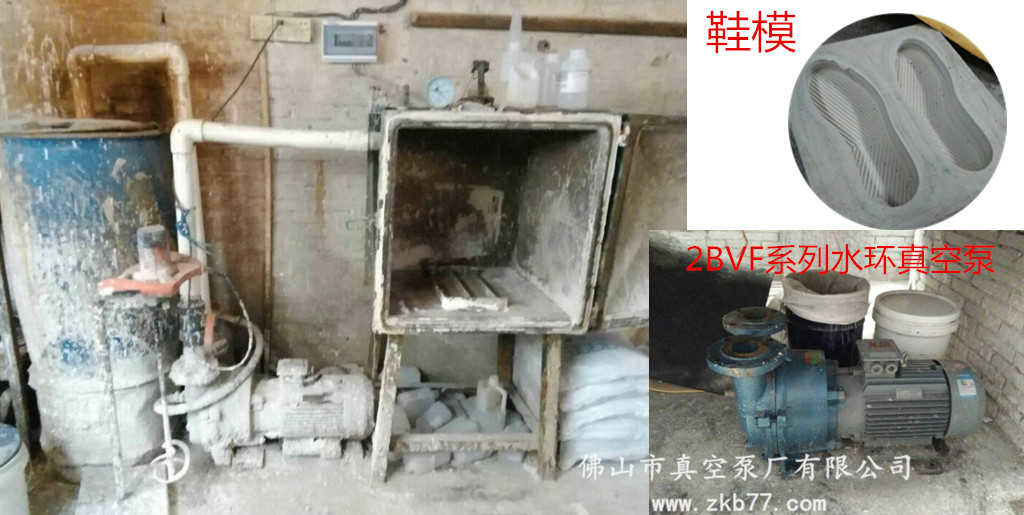 鞋模水環(huán)真空泵 鞋模水環(huán)真空泵