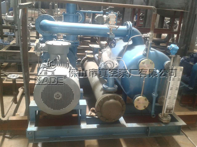 石化行業(yè)真空機(jī)組-2BT 252真空機(jī)組圖 石化行業(yè)真空機(jī)組-2BT 252真空機(jī)組圖